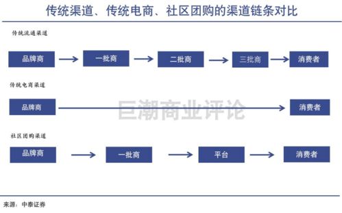 三只松鼠们醒了